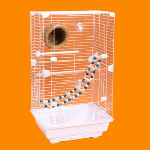  JiA IJCR P[W IJCR P[W ZLZCCR P[W  o[hP[W ybgP[W LXy[X̊ώ@P[W (B,zCg)