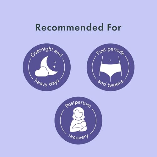Image of Disposable Period Panty Overnight Disposable Menstrual Underwear for Women Postpartum Essentials Period Panties Leakproof 360 Dull Day Protection Maximum Coverage S to XXL
