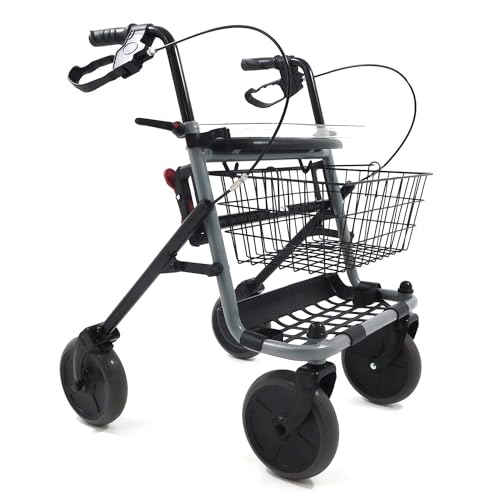 Deambulatore Girello per Anziani e Disabili Pieghevole e...