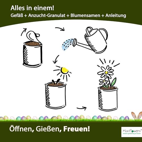 MacFlowers Ostergrüße zu Ostern Osterstrauß Osterhase Anzucht Set mit Sonnenblumen Vergissmeinnicht Kornblumen Schmuckkörbchen Saatgut - 4er Set Geschenk