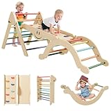 BIERUM Pikler Triangle Set - 8 in 1 Toddler Climbing Toys Indoor Wooden, Montessori Pickler Climbing Set with Ramp, Foldable Baby Climbing Gym, Rainbow