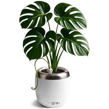 best smart plant pot