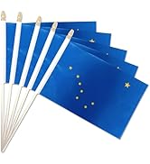 Confezione Da 100 Piccole Bandiere Americane Su Asta Da 4x6 Pollici Piccole Bandiere Degli Stati Unitibandiere Americane Per Esterni Mini Band~p117848508