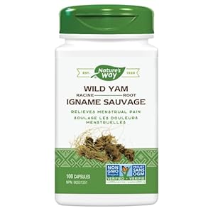 Nature’s Way Wild Yam Root Capsules – Relieve Abdominal and Menstrual Pain Relief – Women’s Health – Premium Herbal Supplement – Non-GMO – 100 Vegetarian Capsules