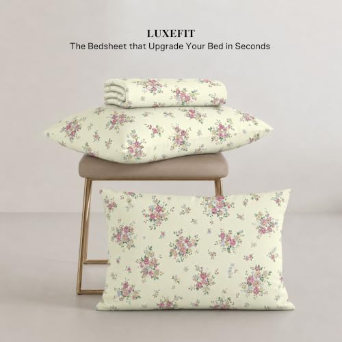 Image of Jaipur Weaves Cotton Percale King Size Bedsheet 108x108 Super King, 100% Pure Cotton Bed Sheet with 2 Pillow Covers, 300 TC Soft Breathable Floral Design Bedding (Floral Pink, Super King)