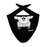Schampa Stretch I-Tie Skull Facemask