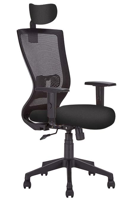 House of The Karpenter Master Chair for Home & Office |Adjustable Lumbar Support for Ergonomic Sitting Posture and Adjustments Mechanism (Black)