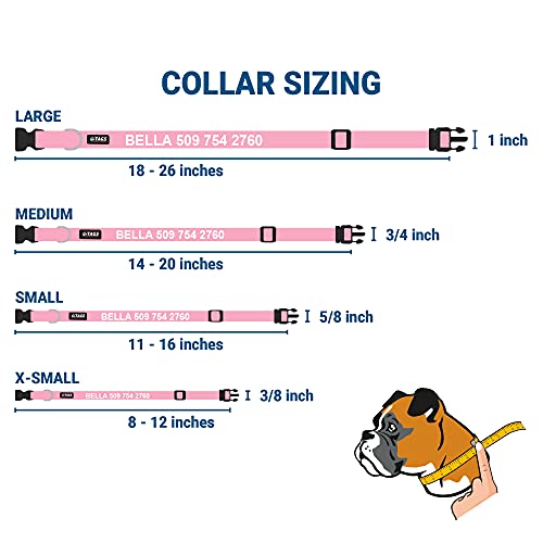 Gotags Personalized Dog Collar With Nameplate, Adjustable Dog Collar With Custom Engraved Slide On Pet Id Tag In Stainless Steel, Silent, No Noise Dog Id Tag (Pink, Large) #TOP4
