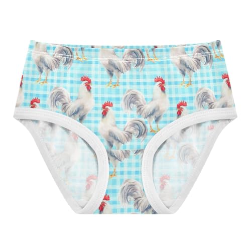 Joisal Cotton Toddler Underwear Floral White Roosters Blue Stripes Panties for Girl Fun Print Undies Kids Briefs 2t