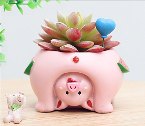 Youfui Cute Animal Flowerpot Animal Resin Succulent Planter Desk Mini Ornament (Pig) #TOP5