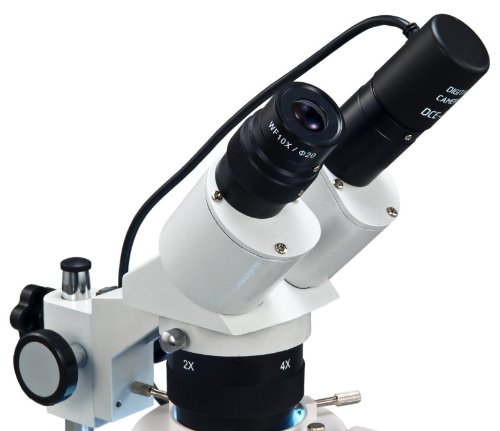 Amazon.com: OMAX 20X-40X-80X Digital Binocular Stereo Microscope