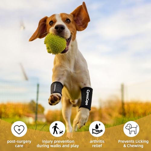 Image of Rear Leg Hock Joint Compression Wrap - Knee Brace for Back Leg Support in Dogs