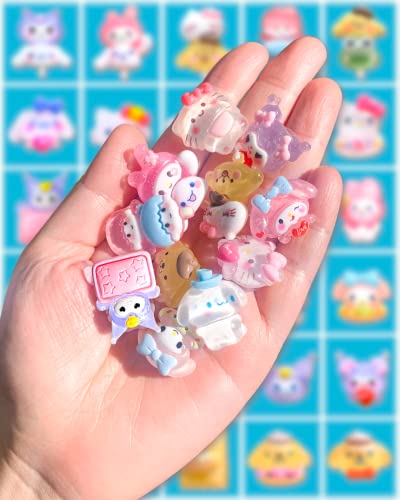 30,45Pcs Resin Shoe Decoration Charms for Clogs Sandals, Bling Shoe Accessories Charms for Women4