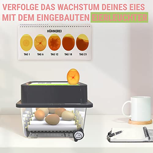 Brutmaschine im Test – welcher Brutapparat ist der Beste? | hoftechnik.com