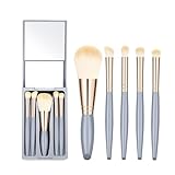 IRYCSSCE Travel Makeup Brush Set, travel make up brushes sets mini eye shadow kits small size eyeshadow case eyes makup brushed makeuo soft brushs basic cosmetic profesional tools (Sky Blue)