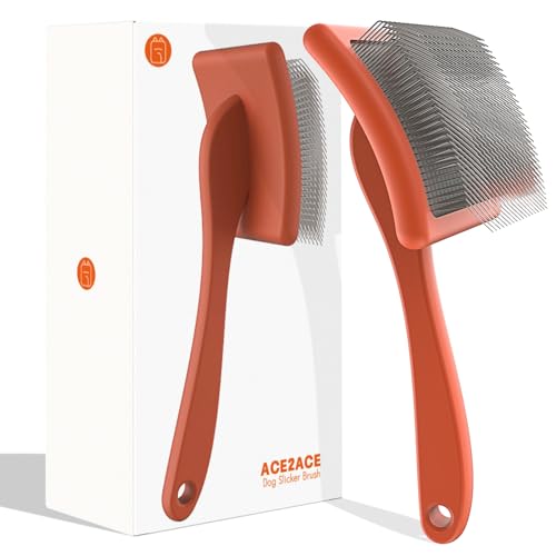 View of Golden Retriever Grooming: Essential Tips for a Healthy Coat