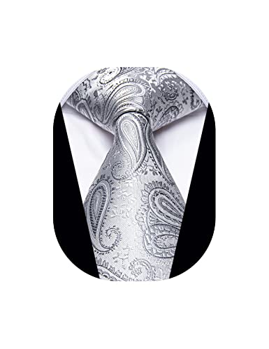Yourties Paisley Tie Bright Silver Ties For Men Designer Silk Jacquard Necktie Wedding #TOP3
