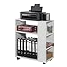 SoBuy® FBT68-W Druckertisch mit 7 Ablagen Rollcontainer Bürowagen Beistellwagen Aktenwagen weiß BHT ca: 60x75x35cm