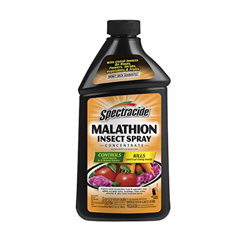 Spectracide Malathion Insect Spray Concentrate 32-fl oz 6-Pack