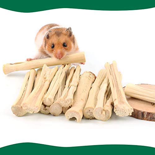 BWOGUE Brinquedo de mastigar de bambu doce de 300 g para coelhos esquilos, porquinhos-da-índia, chin