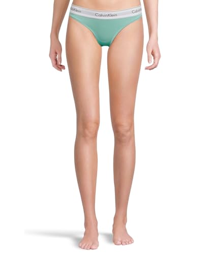 Image of Calvin Klein Women's Modern Cotton Stretch Bikini Panty