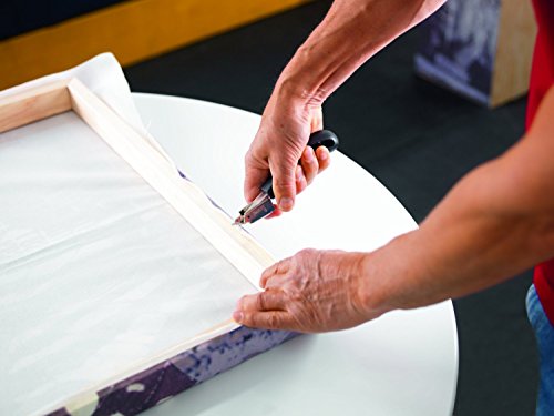 Rapid Klammerentferner R3, entklammerer für Tackerklammern, einfach und leicht, Ergonomischer Griff und Stahlkonstruktion