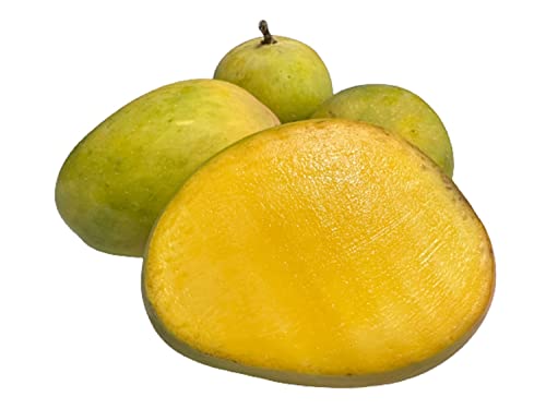 Image of Fresh Mango Alphonso South, 6 Pieces, (Approx.170g /Pc)