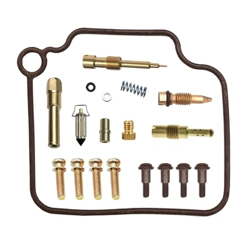 Kit réparation carburateur Piaggio 125 avec membrane et piston BYQ125T