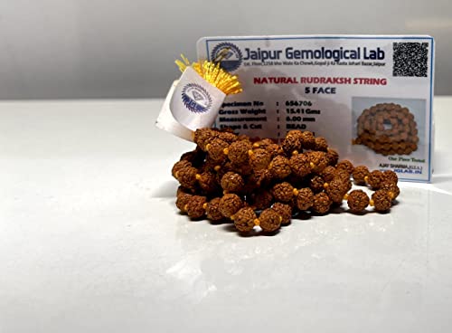 Jaipur Certified 5 Mukhi Rudraksha Mala for Men/Women - 108+1 Beads (5mm, 34 Inches) - 100% Natural Brown Beads - Gift for Spirituality & Meditation - Pack of 13
