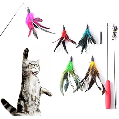 Cat Toys,Retractable Kitten Toys,Cat Toys for Indoor Cats Adult 5 Replaceable Feather Toys, Increase Interaction with Cats and Help cats Exercise Cover