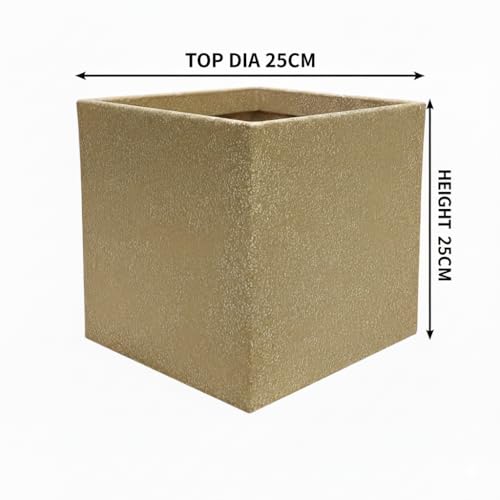 Image of Harshdeep Planters for Home Decor - Quebec Square - Indoor Outdoor Home Living Room Balcony Garden Decorative 10 Inch Durable, Lightweight Roto Pot Stone Finish (Cream Stone, Small)