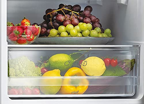 Candy-CMCL-5172WN-Frigorifico-Combi-55CM-262L-Static-Low-Frost-Cajon-Verdulero-Control-Temperatura-Interno-LED-Puertas-Reversibles-Altura-Ajustable-Ruedas-39DB-Clase-F-Blanco