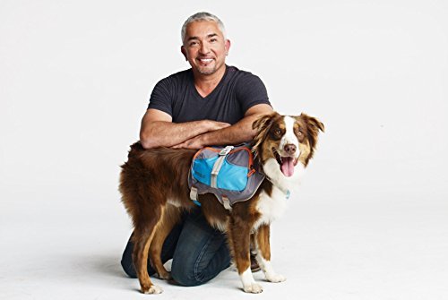 Cesar Millan Dog Backpack™ - Hunderucksack des Hundeflüsterers Cesar Millan™