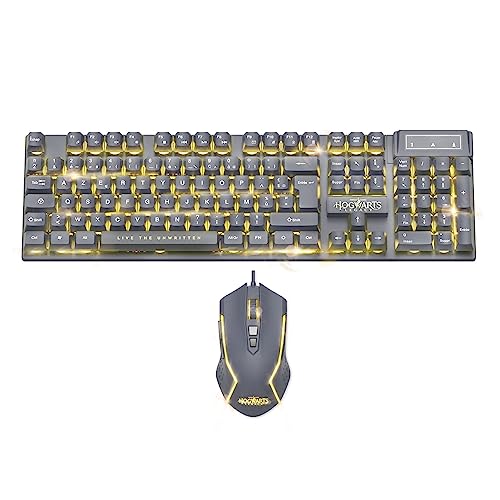 Pack Clavier+Souris gaming Hogwarts Legacy pour jouer sans fatigue ni latence