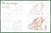 How To Draw Dragons