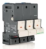 Schneider Electric DF223C Tesys Seccionador Portafusible 3P 125A, Fusible 22 X 58 mm