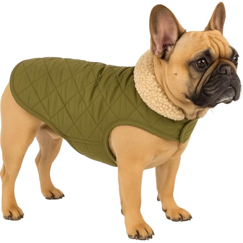 Flamingo Hundemantel – Bonnie – Grün – A: 35 cm | B: 34–38 cm | C: 50–54 cm – Premium Line – wasserabweisend, waschbar bei 30 °C, Klettverschluss, Plüschfutter