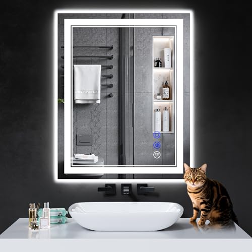 InfiniGlass 30x24 LED Anti-Fog Mirror