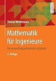 Mathematik für Ingenieure: Ein anwendungsorientiertes Lehrbuch - Thomas Westermann 