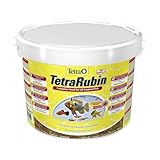 Tetra