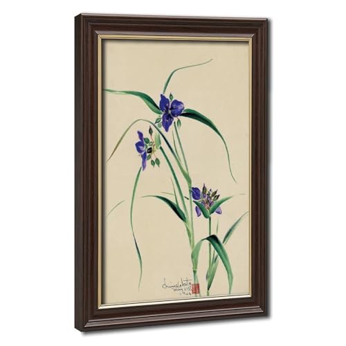 Poster fleurs d'araignée violettes Chiura Obata cadre suspendu sans percer