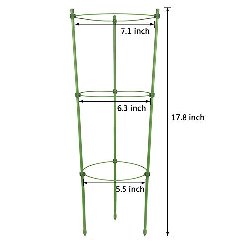 OCEANPAX 3 Pack Plant Support Cages 18 Inches Plant Cages with 3 Adjustable Rings - Thumbnail 2