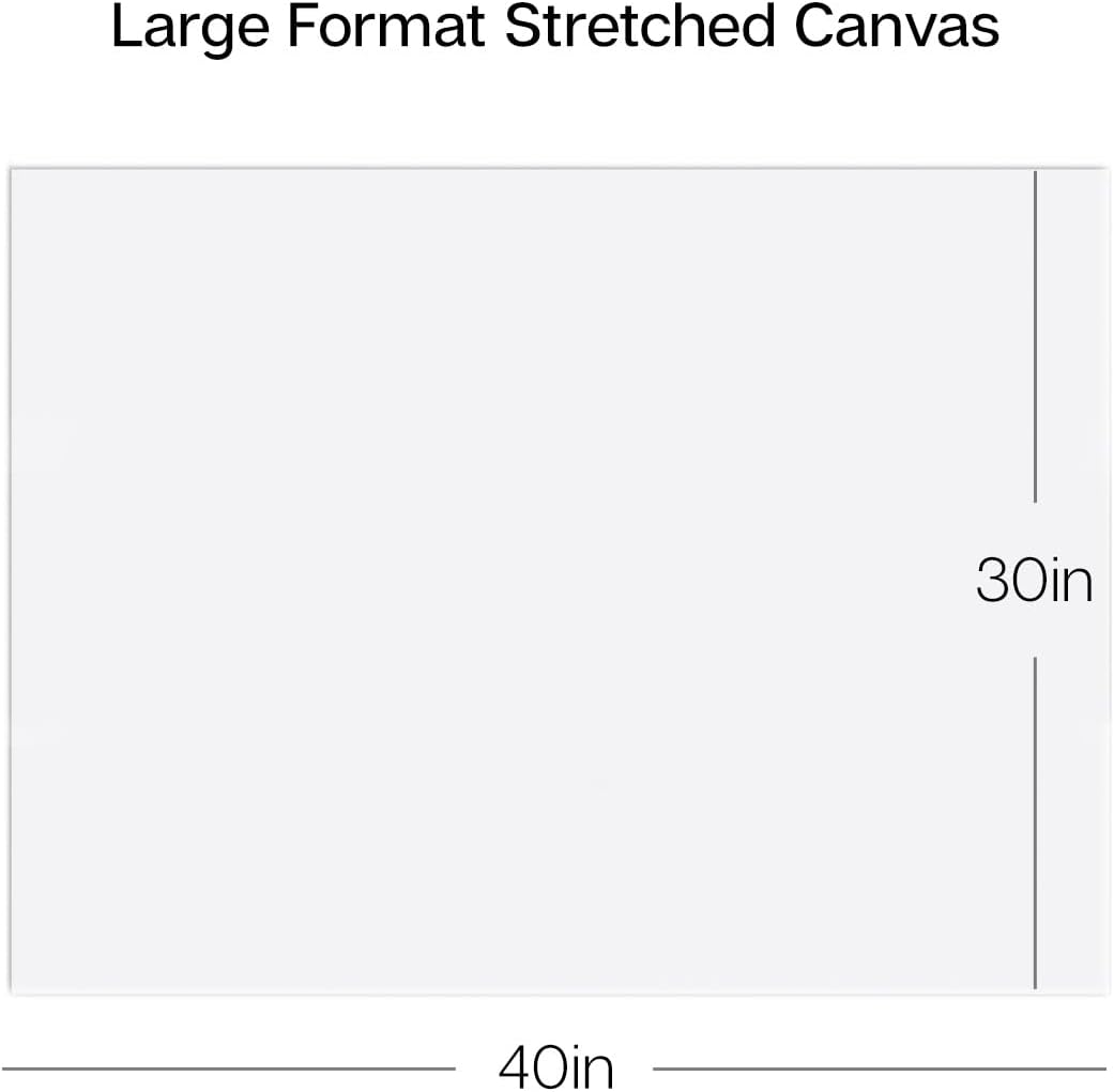 KINGART Large White 30" x 40" Stretched Artist Canvas, Pack of 2, Gesso Primed - 100% Cotton Rectangular Canvases, 5/8" Profile, Art Supplies for Oil and Acrylic Painting