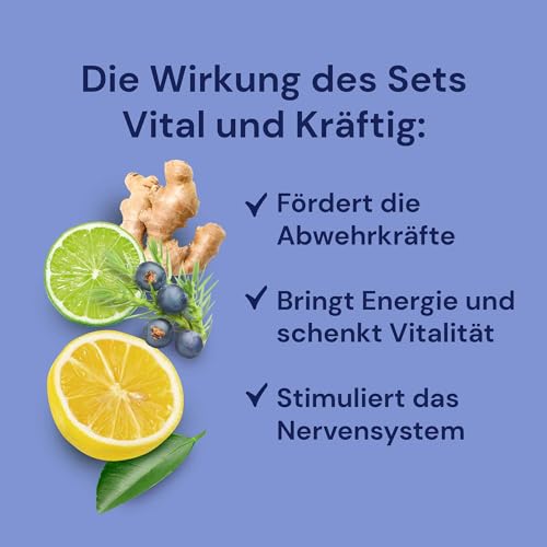 Spitzner Saunaaufguss Set Vital und Kräftig 3 x 190ml