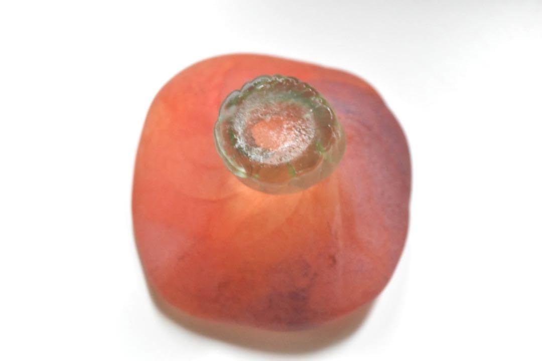 Amazon.co.jp: ｜完売品TSUNE 田中恒子花小鉢 椿 オブジェ｜作家