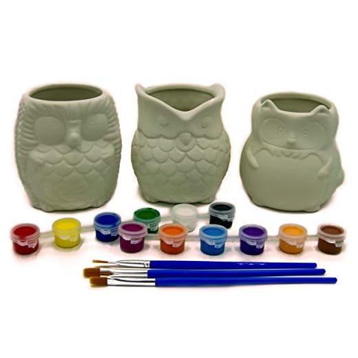 Matty's Garden Succulent Planter Arts and Crafts Project | Set of Paint Your Own Owl Hedgehog and Fox | 3.25 Inch Succulent Pots with Drainage Hole