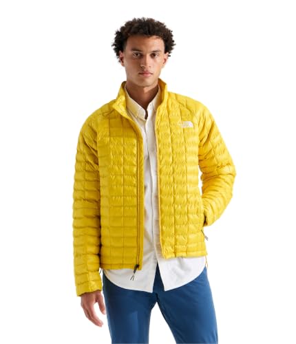 Image of The North Face Men's Thermoball Insulated Jacket (Standard & Big Size) | High Loft Insulation, Wind & Water Resistant