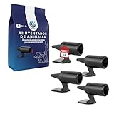 BeWave Super Pack Ahuyentador de Jabalíes para Coche – 4 Unidades | Ultrasonido Repelente para Jabalíes y Otros Animales | Resistente al Clima | Incluye eBook: Guía de Prevención de Accidentes