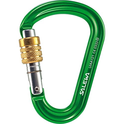 Salewa HMS PRO Normalkarabiner