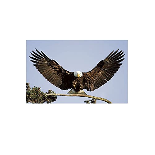 Kit Diamant Peinture Aigle 40x100cm, l'idée cadeau créative idéale pour amateurs d'artisanat
